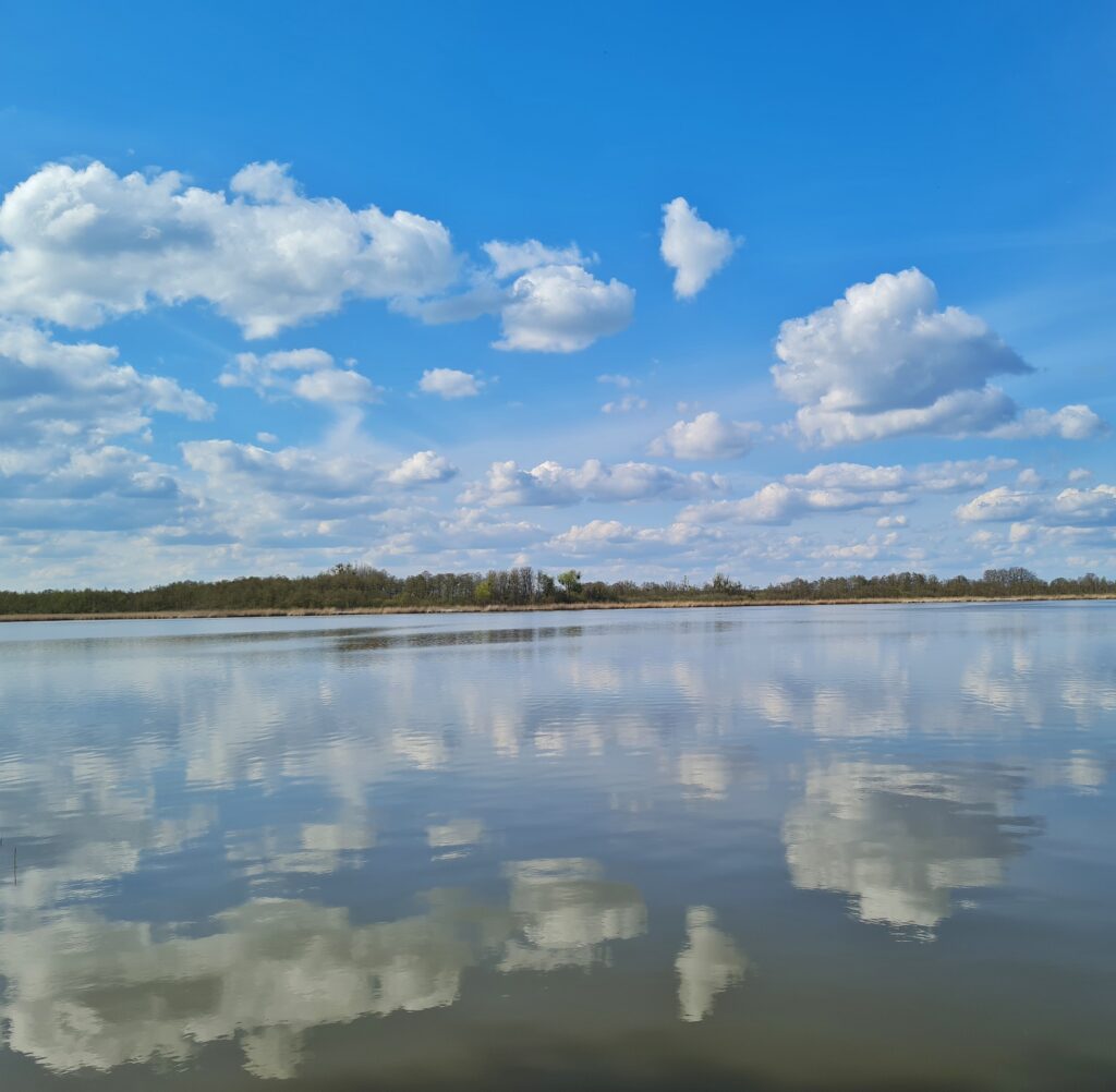 Ein See. In der Ferne ist das gegenüberliegende Ufer mit Bäumen zu sehen. Am hellblauen Jimmel Schäfchenwolken, die sich im glatten Wasser des Sees spiegeln.
