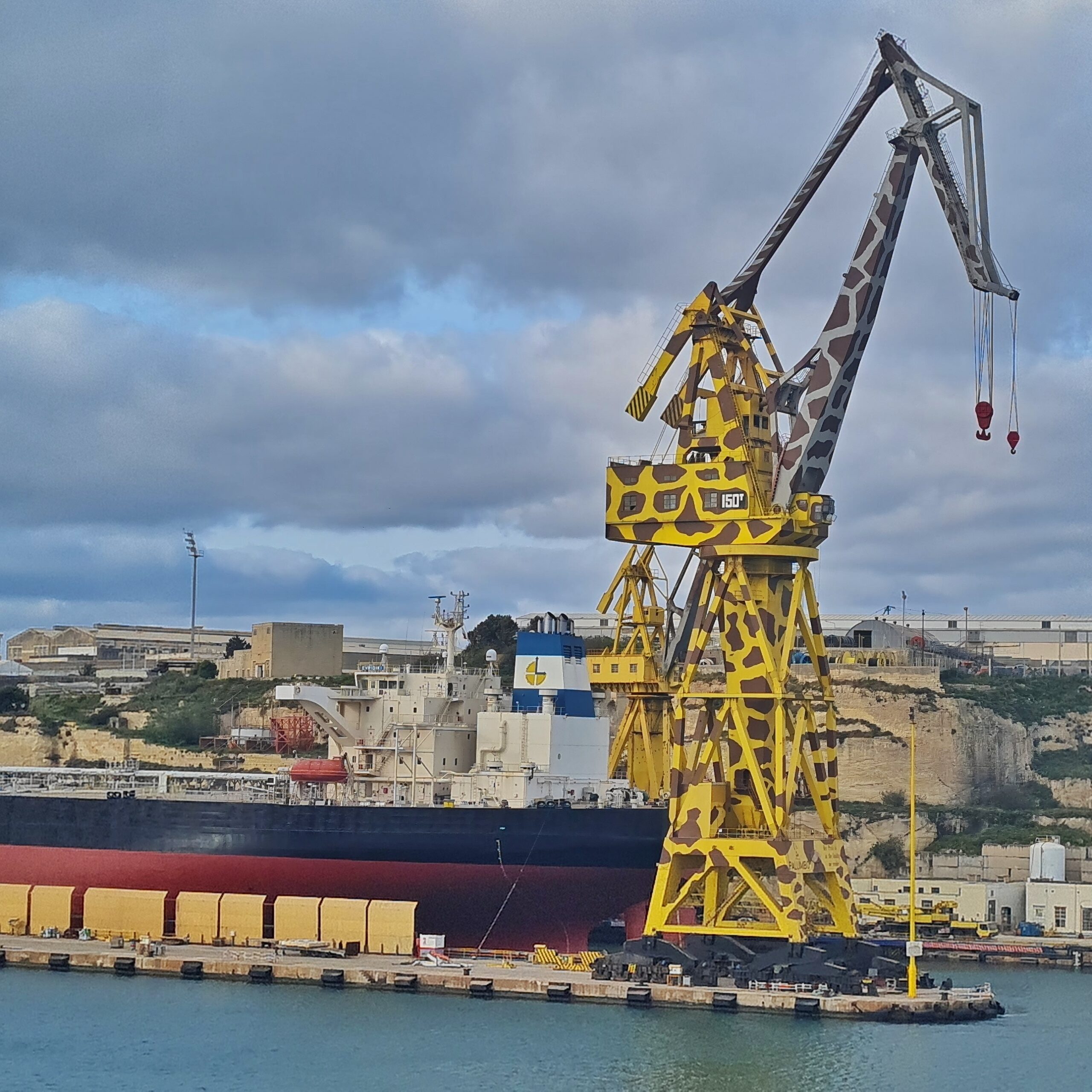 Ein sehr großes Schiff liegt in einem offenen Dock. Der Rumpf ist dunkelrot mit einem breiten schwarzen Streifen oben. Der Bugteil ist nicht auf dem Foto. Auf dem Heckteil mehrere hohe Aufbauten. Rechts davon ein hoher Kran, der unten gelb und oben grau ist, jeweils mit braunen unregelmäßig geformten Flecken, so dass er an eine Giraffe erinnert. Dahinter Felsen und einige Gebäude.