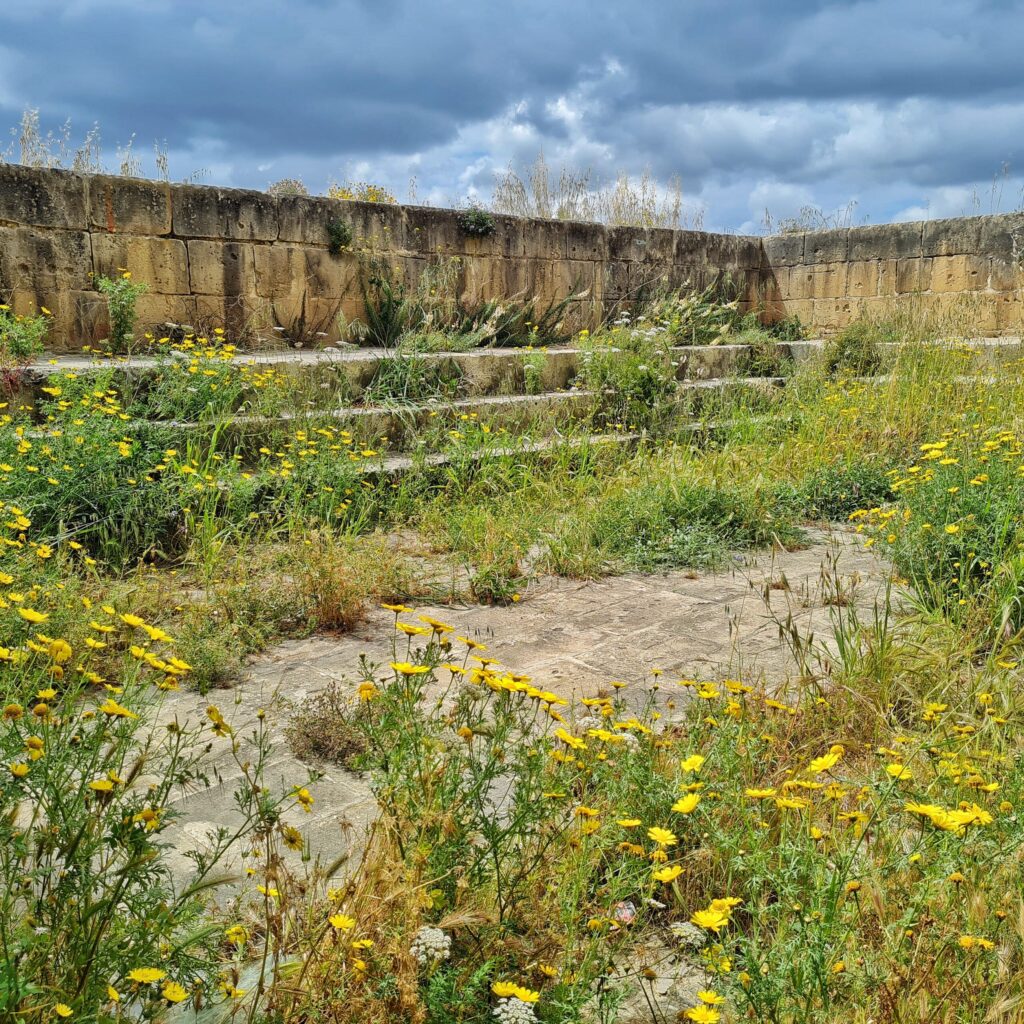 Zwei rechtwinklige niedrige Mauern. Davor drei Steinstufen. Diese und der Boden sind (bis auf eine graue steinige Fläche in der Mitte) beachsen mit Gräsern und Pflanzen  mit gelben Blüten.