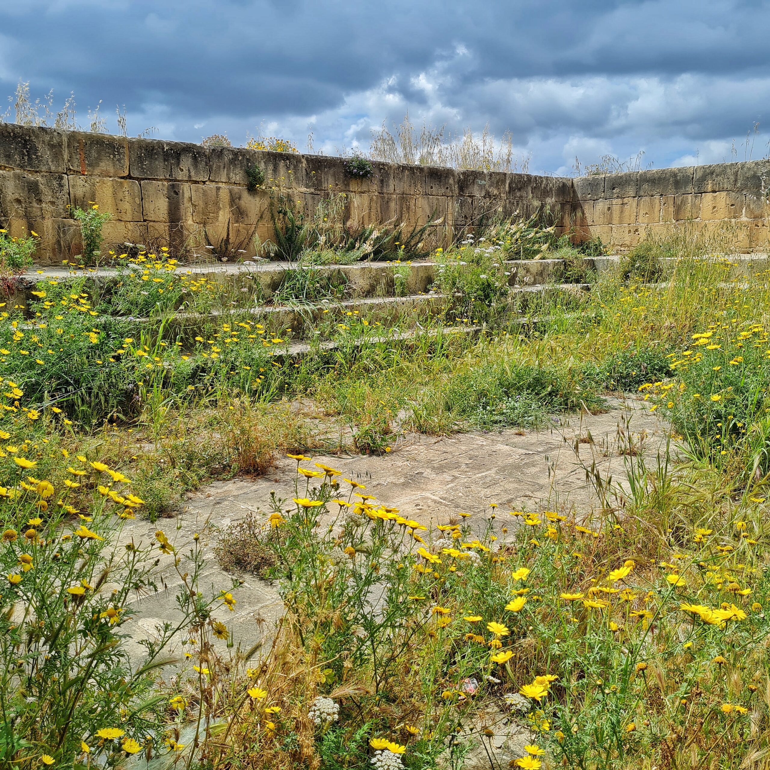 Zwei rechtwinklige niedrige Mauern. Davor drei Steinstufen. Diese und der Boden sind (bis auf eine graue steinige Fläche in der Mitte) beachsen mit Gräsern und Pflanzen  mit gelben Blüten.