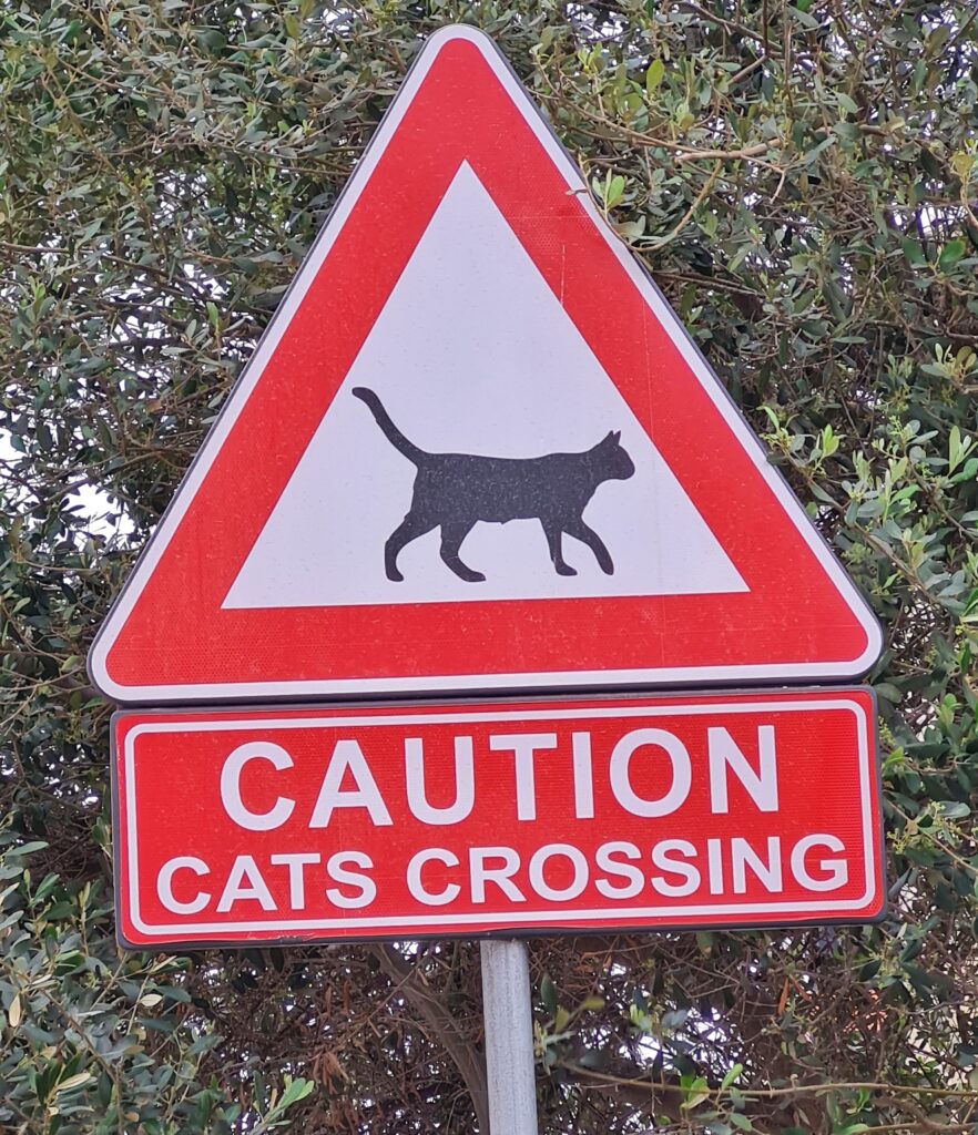 Ein Straßenschild (weißes Dreieck mit rotem Rand), darin eine schwarze, von links nach rechts gehende Katze. Darunter ein rotes Schild mit weißer Schrift: CAUTION CATS CROSSING.