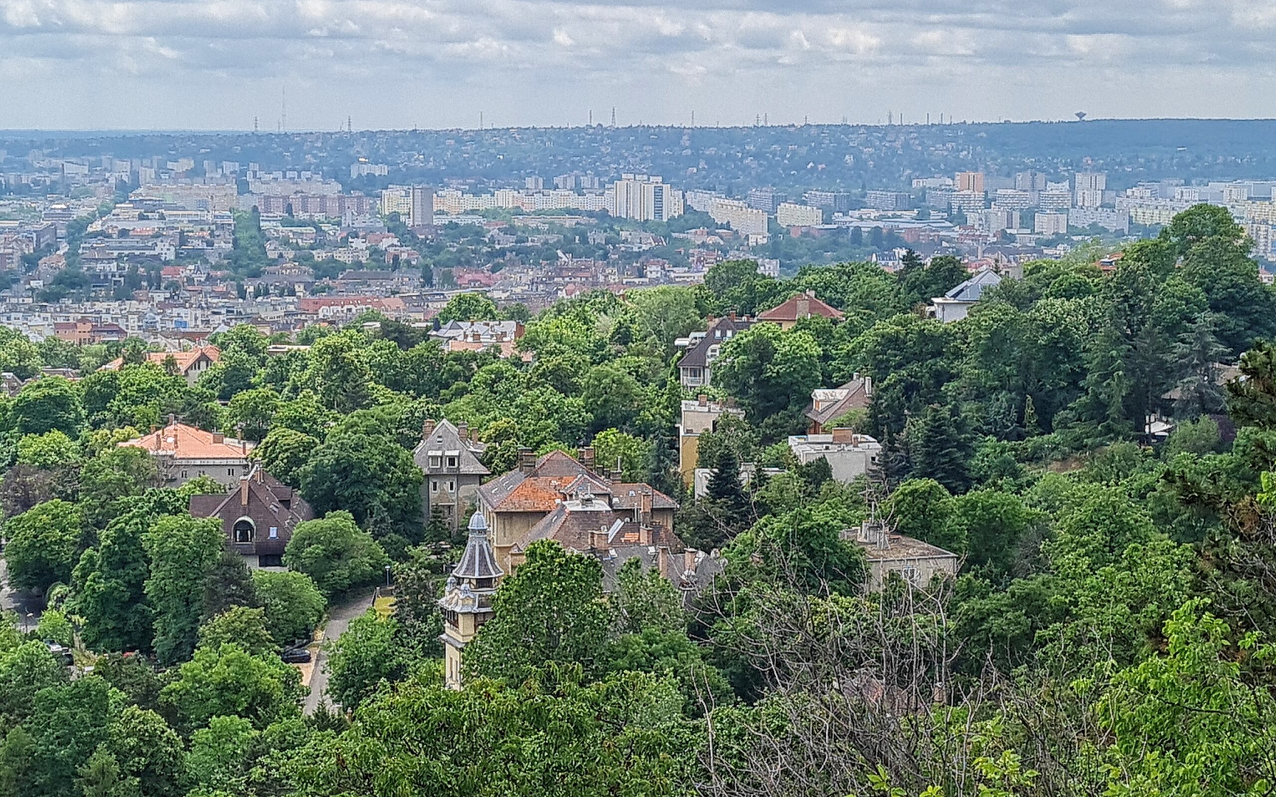Blick auf villenartige Häuser inmtten von Bäumen. In Hintergrund Hochhäuser.