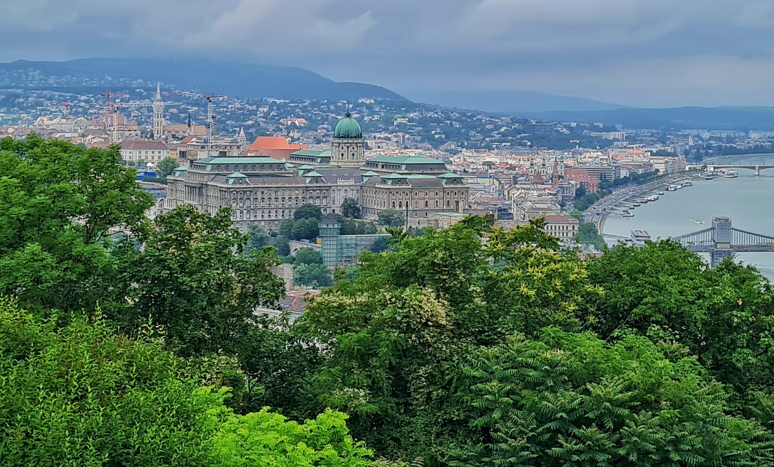 Blick über Bäume und Büsche im Vordergrund auf ein großes Gebäude mit einem Turm mit grüner Kuppel. Rechts ist ein Teil der Donau zu sehen. Im Hintergrund Bebauung mit vielen grünen Bäumen dazwischen und verschwommen ein grüner Hügel