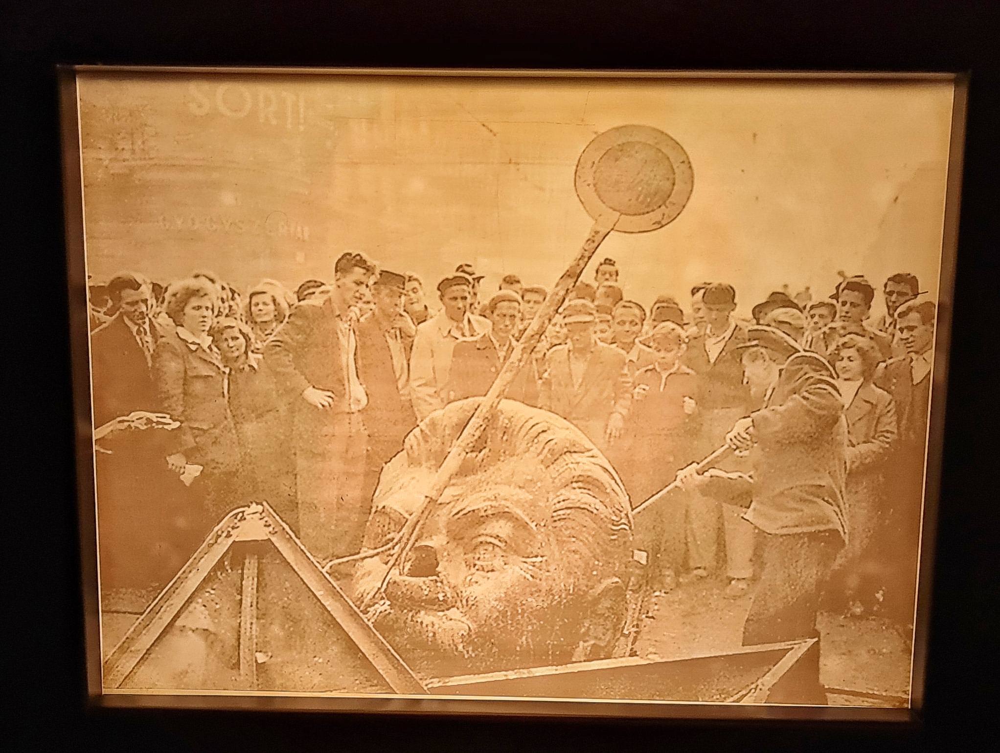 Ein vergilbtes altes Foto. Der Kopf eines Stalindenkmals liegt auf dem Boden. Ein Mann schlägt mit einer Eisenstange darauf ein. Dahinter steht eine Menschenmenge, die zusieht.