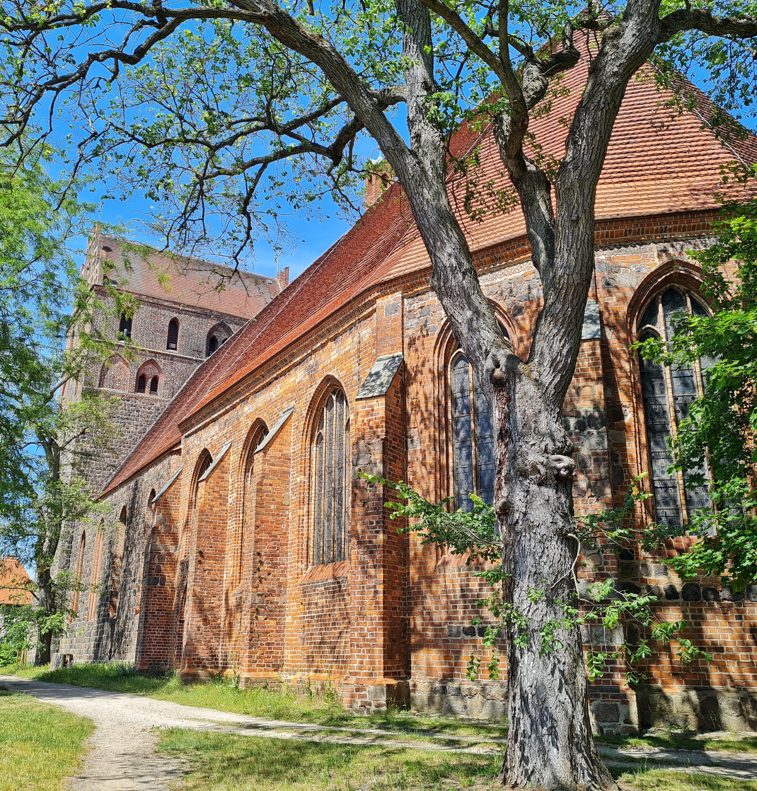 Eine große Backsteinkirche, seitlich von hinten fotografiert. Man sieht, teilweise verdeckt durch einen Baum die hohen Fenster im Altarbereich. Im Hintergrund ist ein breiter, rechteckiger Turm zu sehen.
