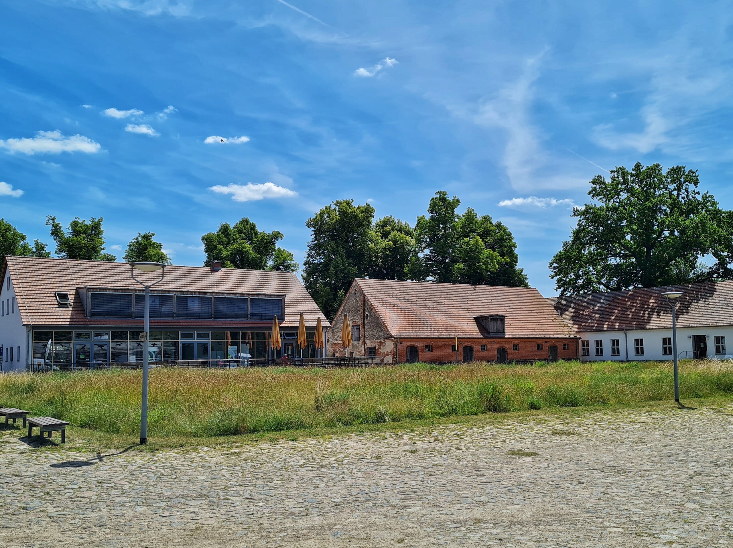 Im Vordergrund eine graue kahle Fläche, dahinter eine große Grasfläche. Im Hintergrund einige niedrige langgestreckte Gebäude. Das Gebäude ganz links hat eine Glasfront im Erdgeschoß und eine breite Glasfläche im Dachgeschoß. Davor stehen vier zusammengeklappte gelbe Sonnenschirme.