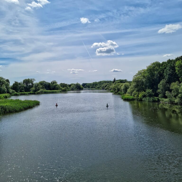 Ein Fluß mit einer Ausbuchtung auf der linken Seite. Die Ufer sind mit grünen Bäumen und Büschen bewachsen. Auf dem Wasser schwimmen zwei Bojen. Das Wasser glitzert in der Sonne. Der Himmel ist hellblau mit einigen kleinen Wolken.