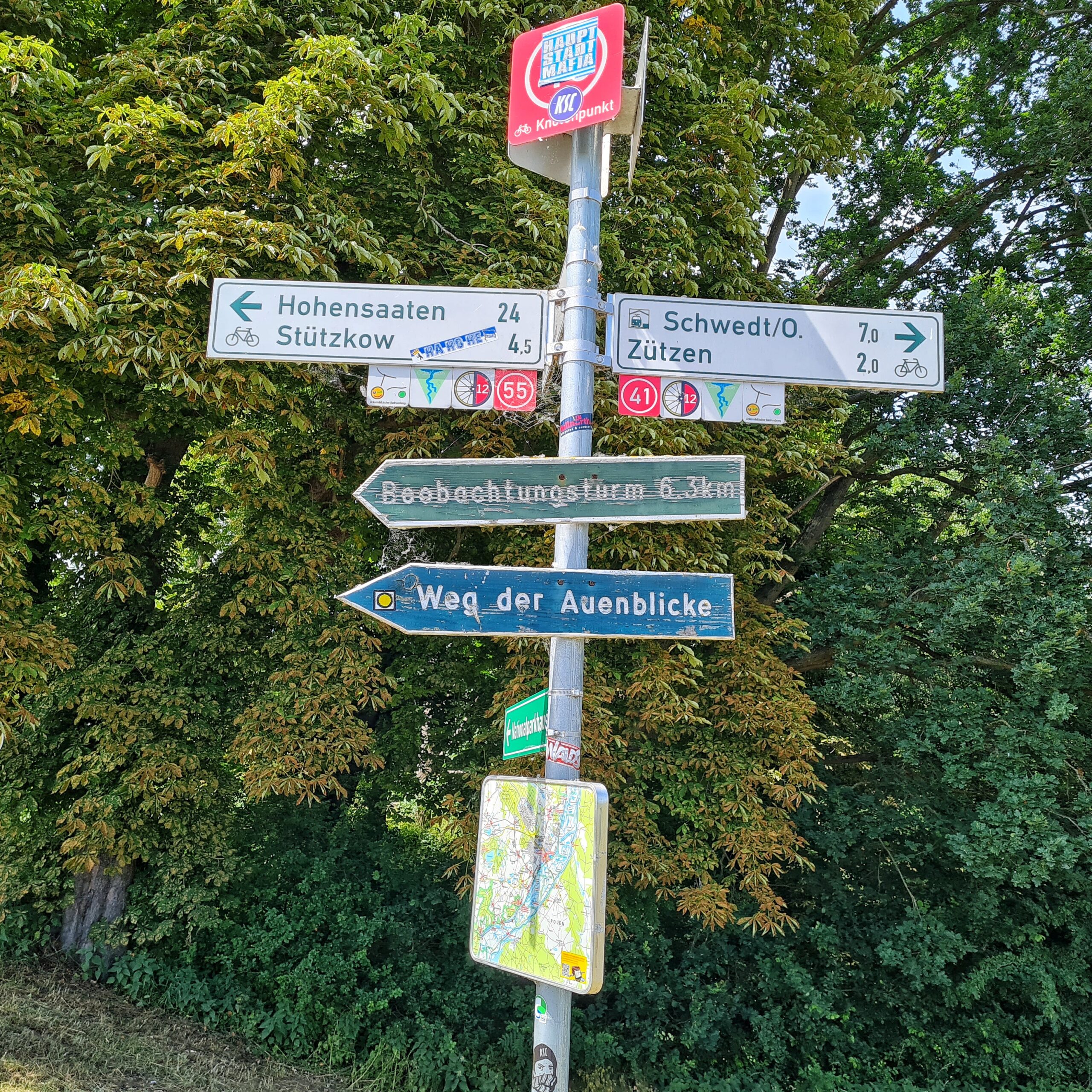 Ein Wegweiser vor einem Baum. Auf den Pfeilen, die in verschiedene Richtungen weisen, steht unter anderem: Hohensaaten 24. Stützkow 4,5. Schwedt/O. 7,0. Zützen 2,0. Beobachtungsturm 6,3 km. Weg der Auenblicke.