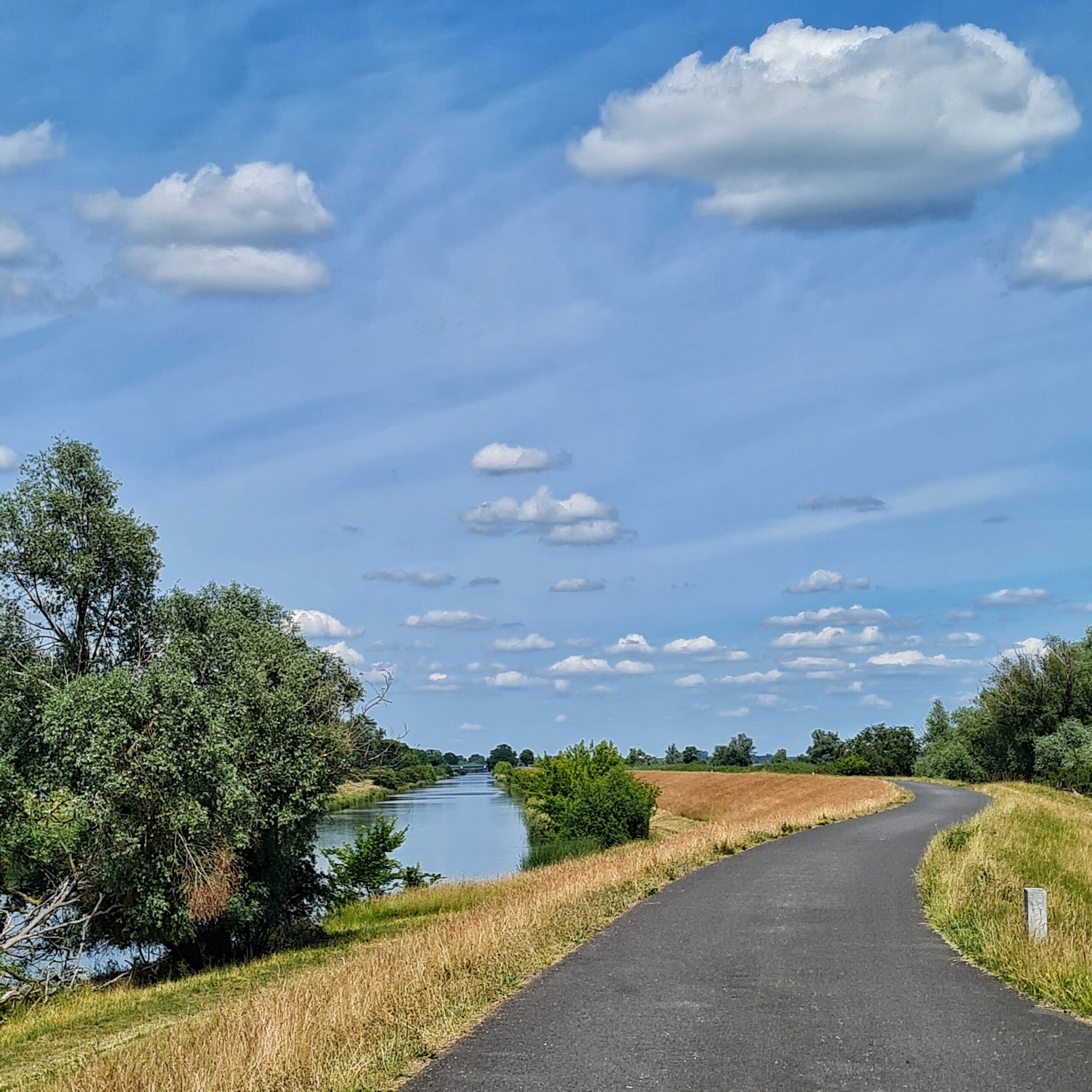 Links ein gerader Fluß mit einigen Bäumen am ufer. Daneben rechts ein höhergelegener Damm mit gemähtem Gras und einem schmalen betonierten Weg. Darüber ein hellblauer Himmel mit einigen Wolken.