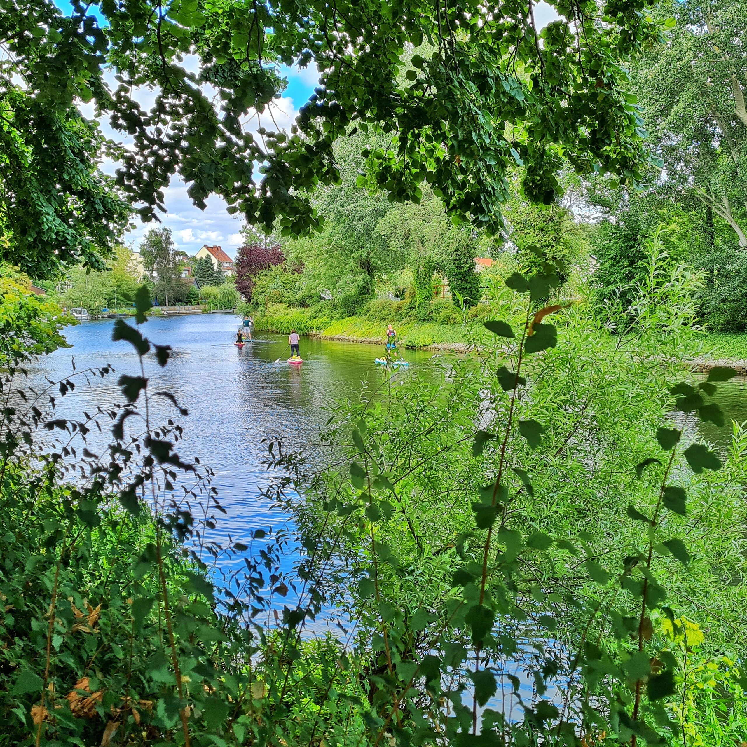 Blick durch grüne Zweige hindurch auf eine idyllische Flußlandschaft mit grünen Bäumen und Büschen anden Ufern. Im Hintergrund macht der Fluß eine Biegung. Dort sind Wohngebäude zu sehen. Auf dem Wasser mehrere StandUp-Paddler mit den Rücken zur Kamera.
