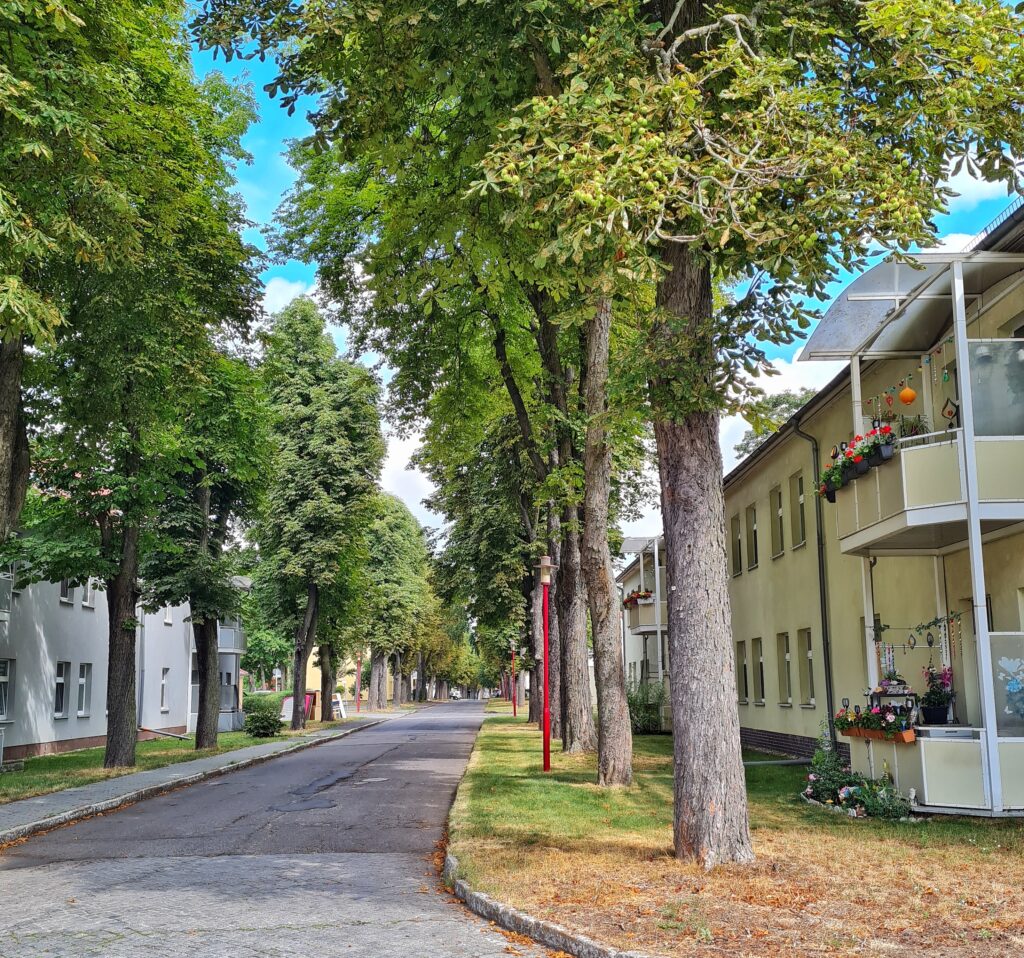 Eine ruhige Straße. Auf beiden Seiten hohe grüne Bäume und helle, freundliche Wohnblocks mit zwei Geschossen und teilweise blumengeschmückten Balkonen.