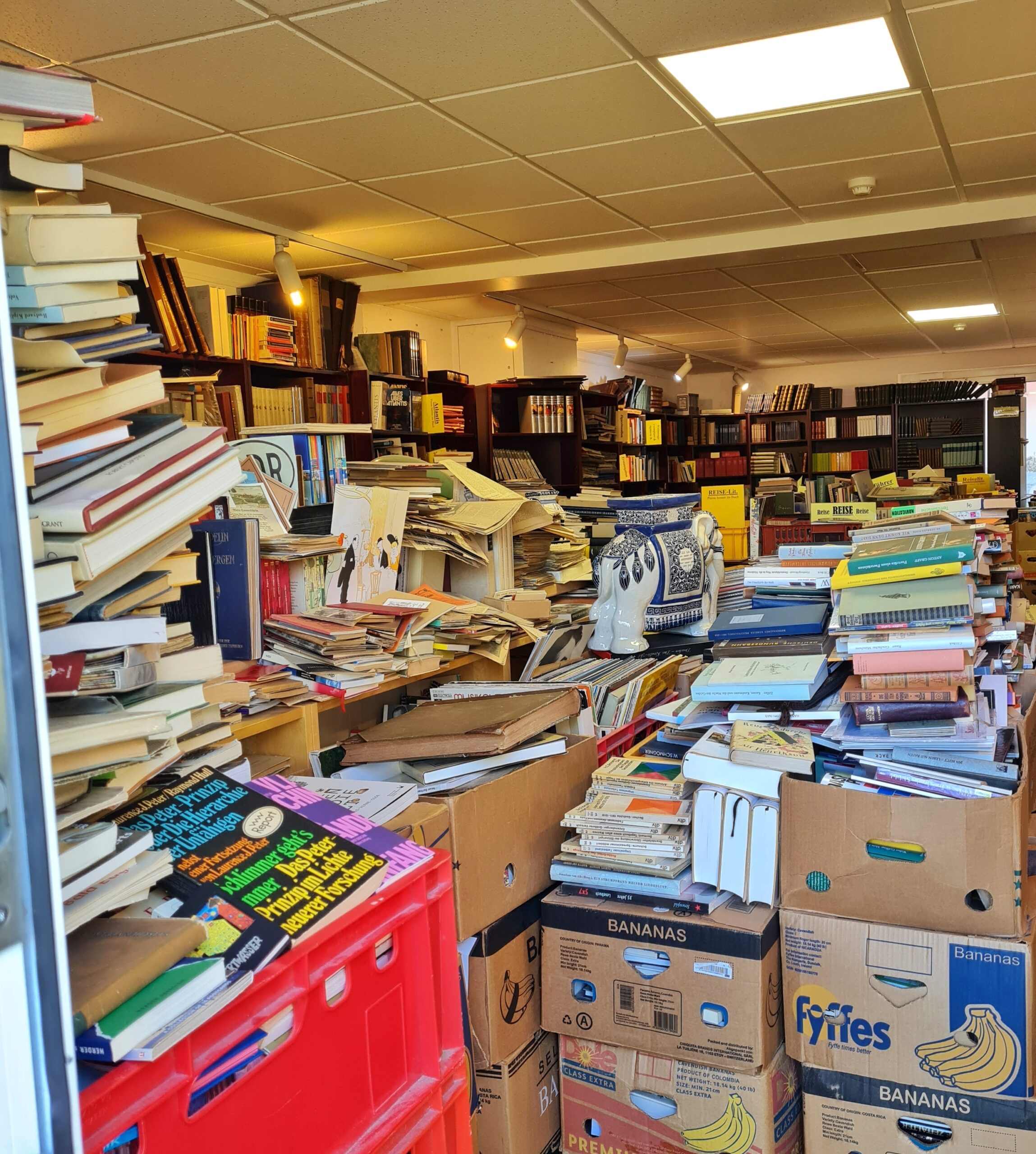 Blick in eines der Antiquariate. Im Hintergrund dunkle Regale mit Büchern darin. Im Vordergrund Kartons mit überquellenden Büchern.