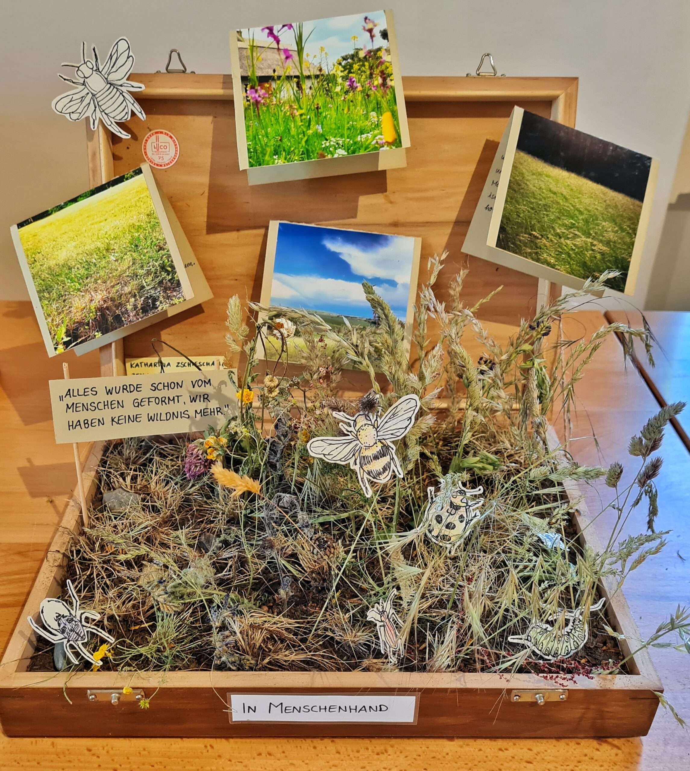 Ein geöffneter Holzkasten. Darin viele Gräser und Pflanzen, in denen Papiermodelle einer Biene, eines Marienkäfers, einer Spinne und einer Raupe stecken, außerdem ein Schildchen mit der Aufschrift "Alles wurde schon vom Menschen geformt, wir haben keine Wildnis mehr". Außen an der Kiste steht "in Menschenhand". Am geöffneten Deckel mehrere Postkarten mit Naturfotos und das Papiermodell eines Käfers.