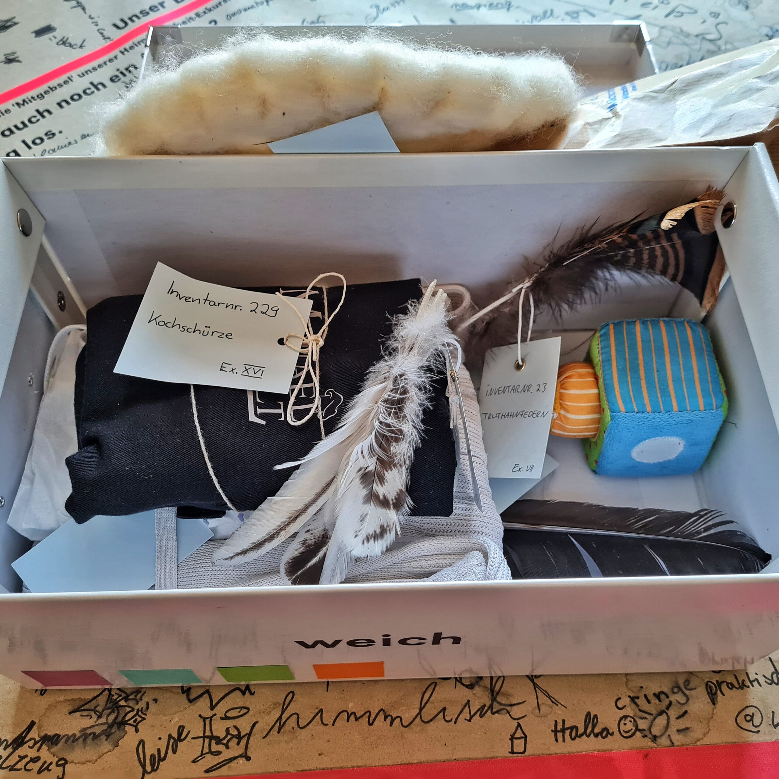 Der geöffnete weiße Karton mit der Aufschrift "weich". Darin obenauf ein schwarzer Stoff mit einem Zettel daran "Inventarnr. 229 Kochschürze", Federn mit einem Zettel daran "Inventarnr. 23 Truthahnfedern" weiches Babxspielzeug . Darunter weiteres Sachen, die man nicht genau erkennen kann.