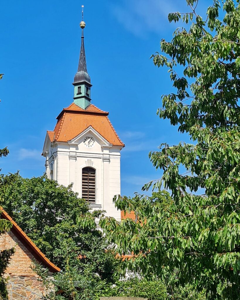 Ein Kirchturm (weiß mit rotem Dach und einer Metallspitze) über Bäume hinweg fotografiert.
