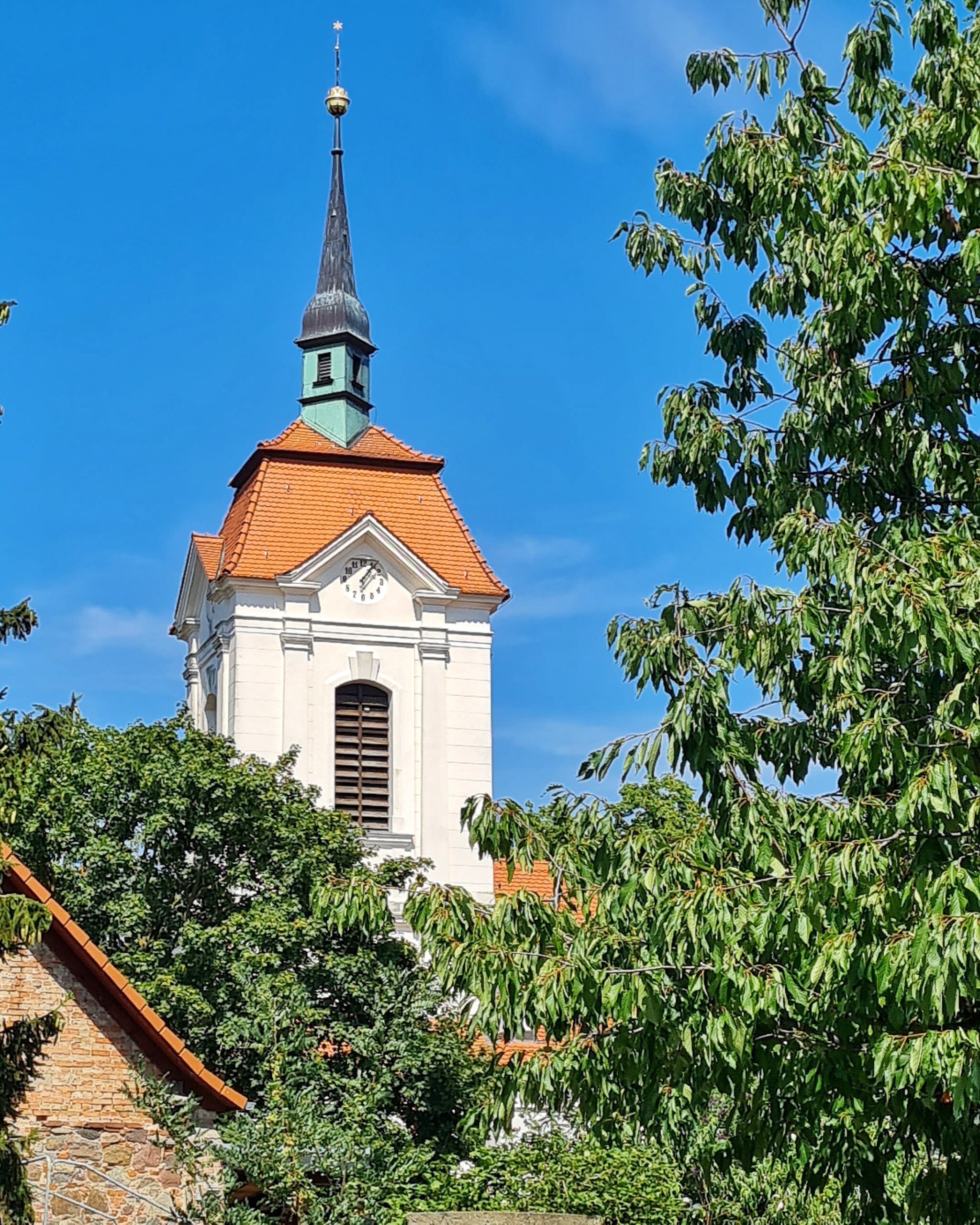 Ein Kirchturm (weiß mit rotem Dach und einer Metallspitze) über Bäume hinweg fotografiert.