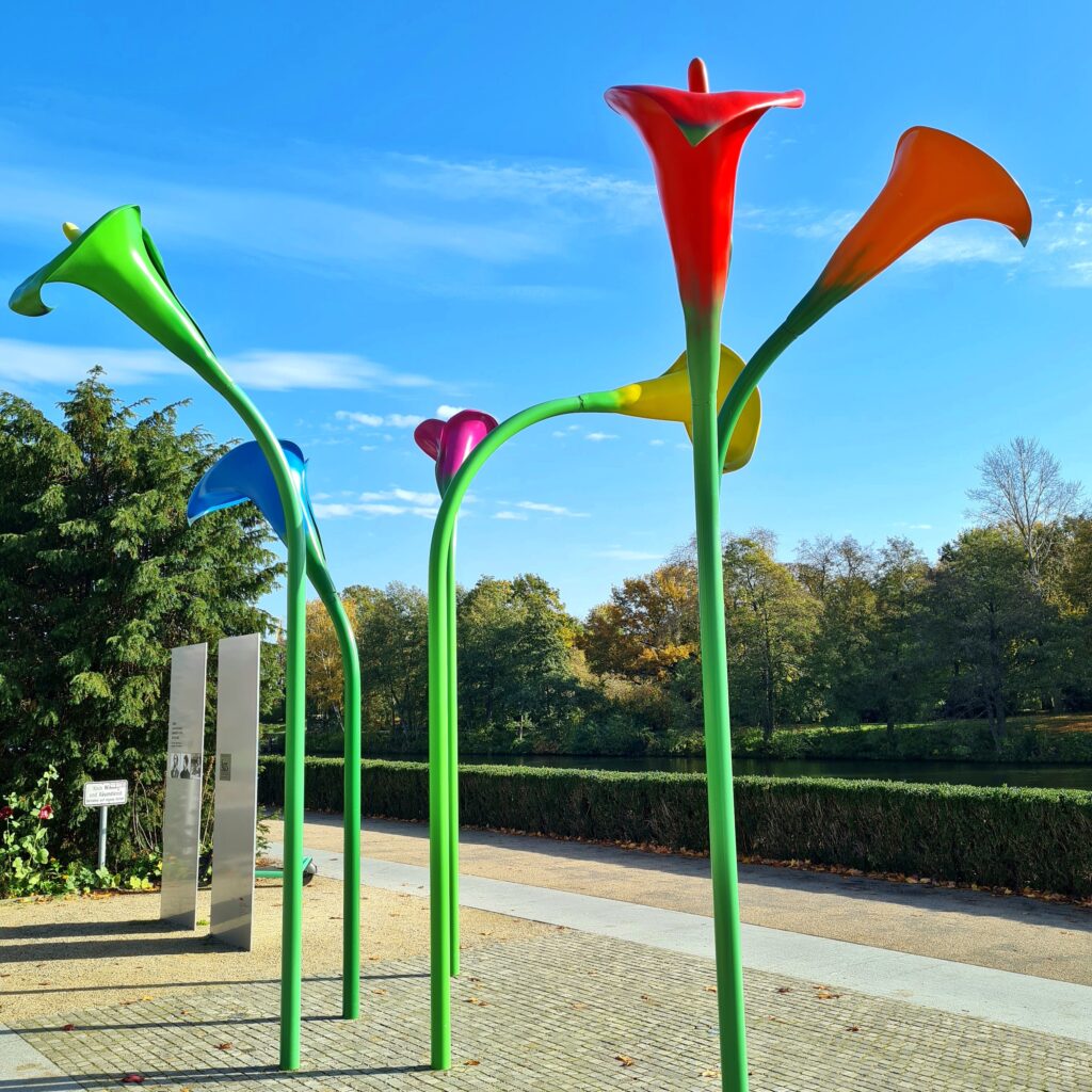 Auf einer gepflasterten Flächse am Rande eines Flusses stehen mehrere große Blumenstängel. Die Stängel sind grün. die Blüten haben unterschiedliche Farben und sind in unterschiedliche Richtungen gebogen.
