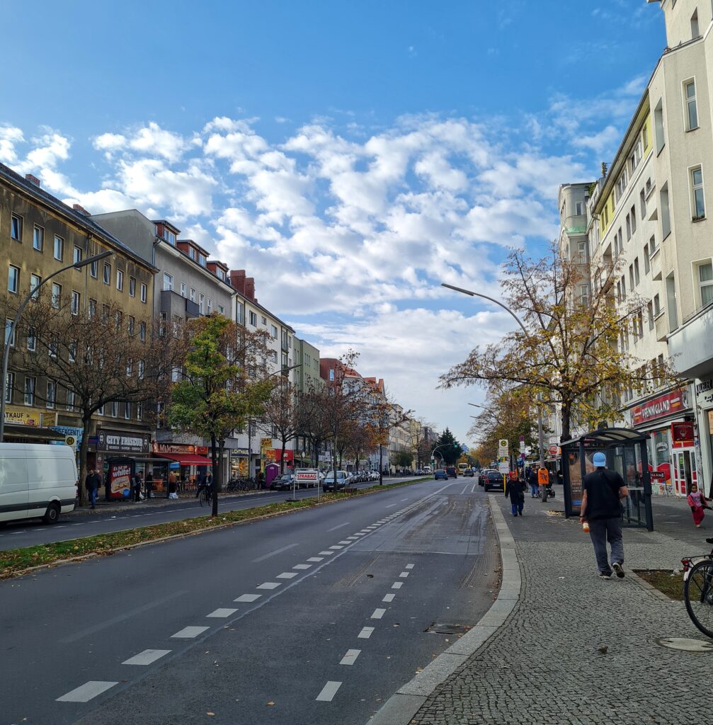 Eine Straße mit Auto und Radspuren. Zwischen den Autospuren ein Grünstreifen, auf dem einige Bäume stehen. Auch auf den Gehwegen Bäume. Auf der Straße fahren Autos, auf den Gehwegen laufen Fußgänger. Rechts eine Bushaltestelle. Auf beiden Seiten durchgehende mehrstöckige Mietshäuser, die alle unterschedlich gestaltet sind. Unten sind Läden und Imbisse.