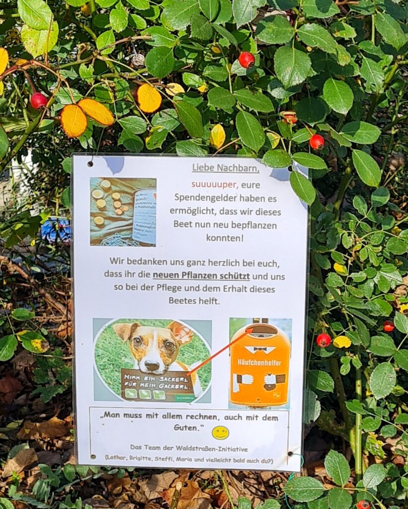 Ein Strauch mit grünen Blättern und kleinen roten Früchten. Darin hängt ein in Plastik eingeschweißtes Blatt Papier mit dem Text: Liebe Nachbarn, super, eure Spendengelder haben es ermöglicht, dass wir dieses Beet nun neu bepflanzen konnten. Wir bedanken uns ganz herzlich bei euch, dass ihr die neuen Pflanzen schützt und uns so bei der Pflege und dem Erhalt dieses Beeetes helft. Man muss mit allem rechnen, auch mit dem Guten. Das Team der Waldstraßen-Initiative. Auf dem Zettel snd ausserdem drei Fotos. Oben links eine Spendendose mit Münzen daneben. Unten ein Bild eines Hundes mit einem Schild im Maul, auf dem steht: Nimm ein Sackerl für mein Gackerl. Von dort führt ein Pfeil zum dritten Bild, auf dem ein oranger Hundekotbehälter abgebildet ist. Er trägt die Aufschrift "Häufchenhelfer".