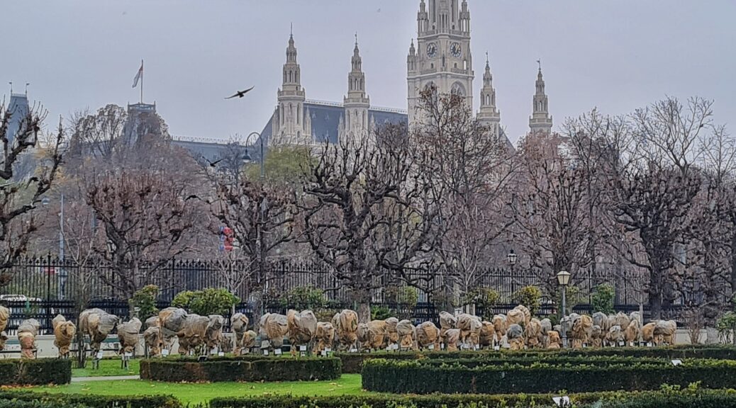 Im Hintergrund das Wiener Rathaus, das mit seinen vielen hohen Türmen wie eine große Kirche aussieht. Im Vordergrund eine Parkanlage mit niedrigen grünen Hecken und vielen in Säcken eingepackten Rosenbüschen. Der Hmmel ist grau,
