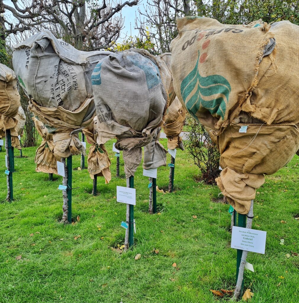Auf einer grünen Rasenfläche viele Rosensträucher, die in Säcken eingewickelt sind. An den Stämmen sind kleine Schilder angebracht. Auf dem vordersten steht: "Herzlich willkommen auf dieser Welt, Gabriel. Deine Eltern Rita und Georg".